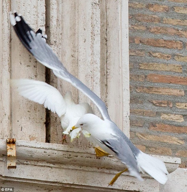 Off they fly: Francis was celebrating the <strong class='StrictlyAutoTagBold'>prayer</strong> from the window of his studio overlooking St. Peter’s Square” src=”http://i.dailymail.co.uk/i/pix/2014/01/26/article-2546218-1AF864A900000578-78_634x480.jpg” width=”634″ height=”480″ /></div>
<p>Off they fly: Francis was celebrating the <strong class='StrictlyAutoTagBold'>prayer</strong> from the window of his studio overlooking St. Peter’s Square</p>
<div></div>
<div>
<div><img id=