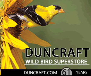 Because you love your feathered friends!