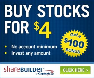 ShareBuilder Flip 300x250
