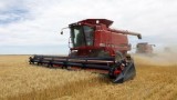 Farmers