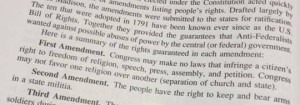 AP_Second Amendment