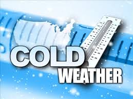 The cold