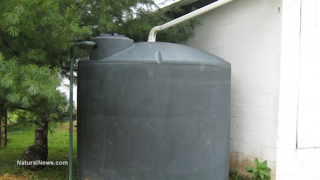 Rainwater