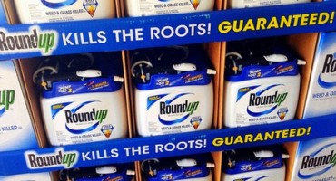 Too ‘dramatic’: Monsanto shuns WHO verdict that Roundup ‘probably’ causes cancer