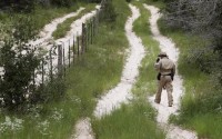 Could the Next House Speaker Do More on Immigration Reform?