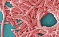 7 dead in Legionnaires� outbreak at Illinois veterans home