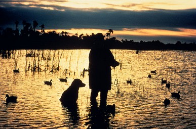 Huntingandfishingrights