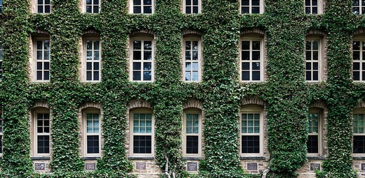princton_small Princeton University To Host 'Day Of Action.' It Is As Bad As It Sounds Liberals  