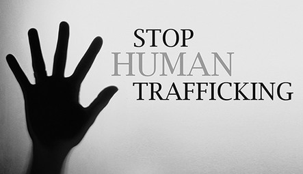 stophumantrafficing_small President Trump Announces Elite Pedophile Ring Investigation Justice  
