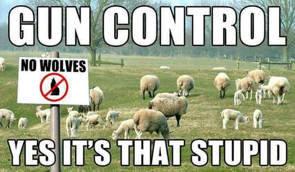 guns2_small Why There is Inaction on Gun Laws Second Amendment  