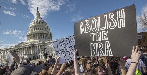 nra_small They Don’t Hate The NRA. They Hate You. Liberals  