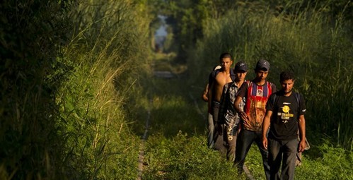 immig_small 'Caravan' Just Turned Blue Wave into Red Tsunami Politics  